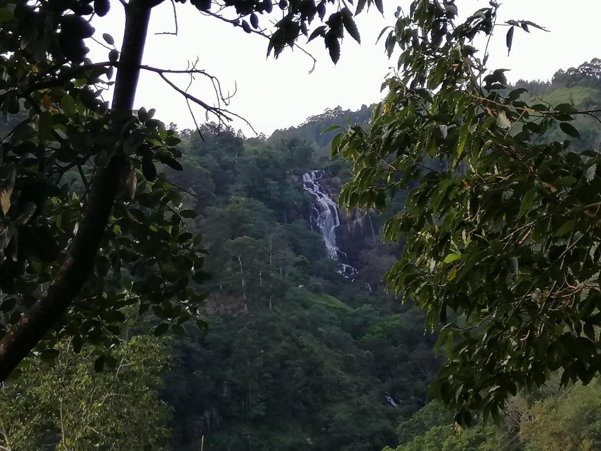 西普维欧山林小屋 埃拉 外观 照片