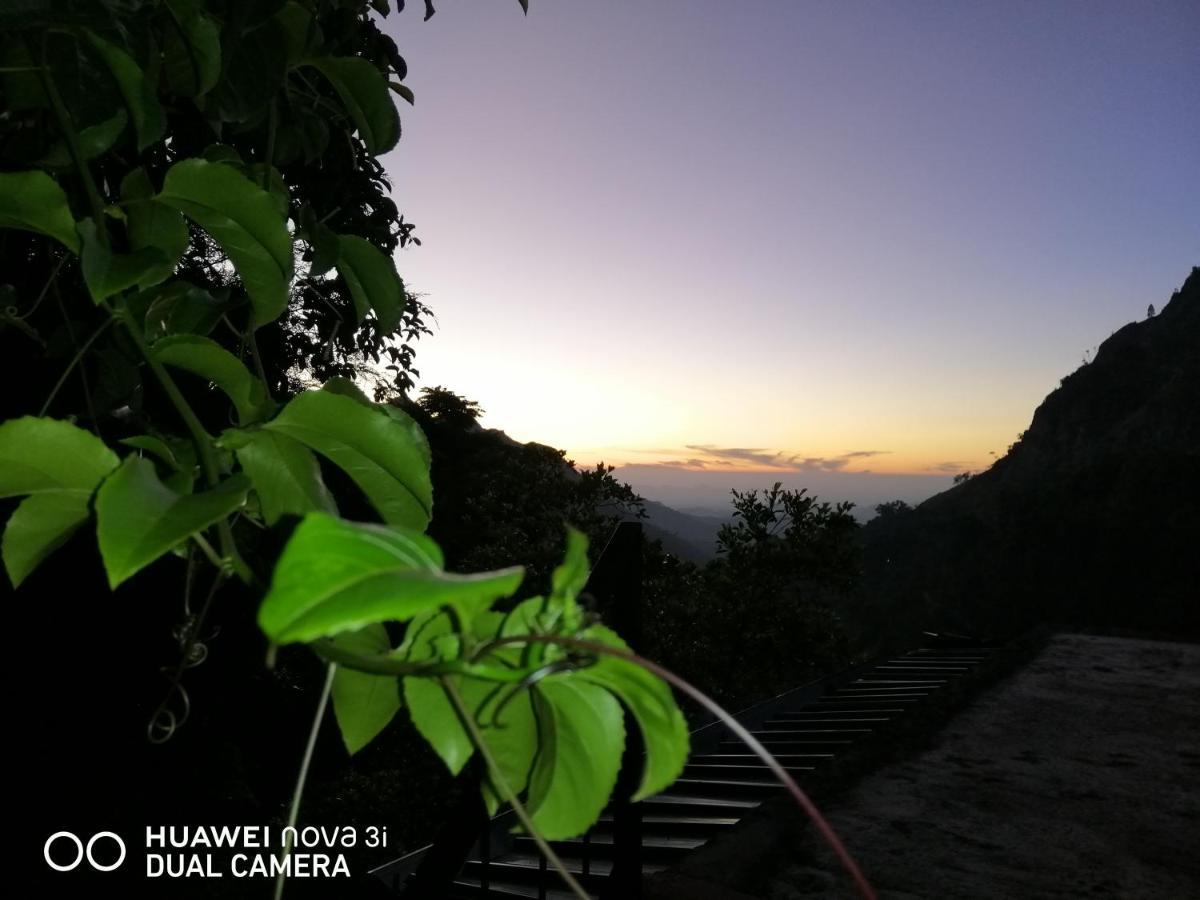 西普维欧山林小屋 埃拉 外观 照片