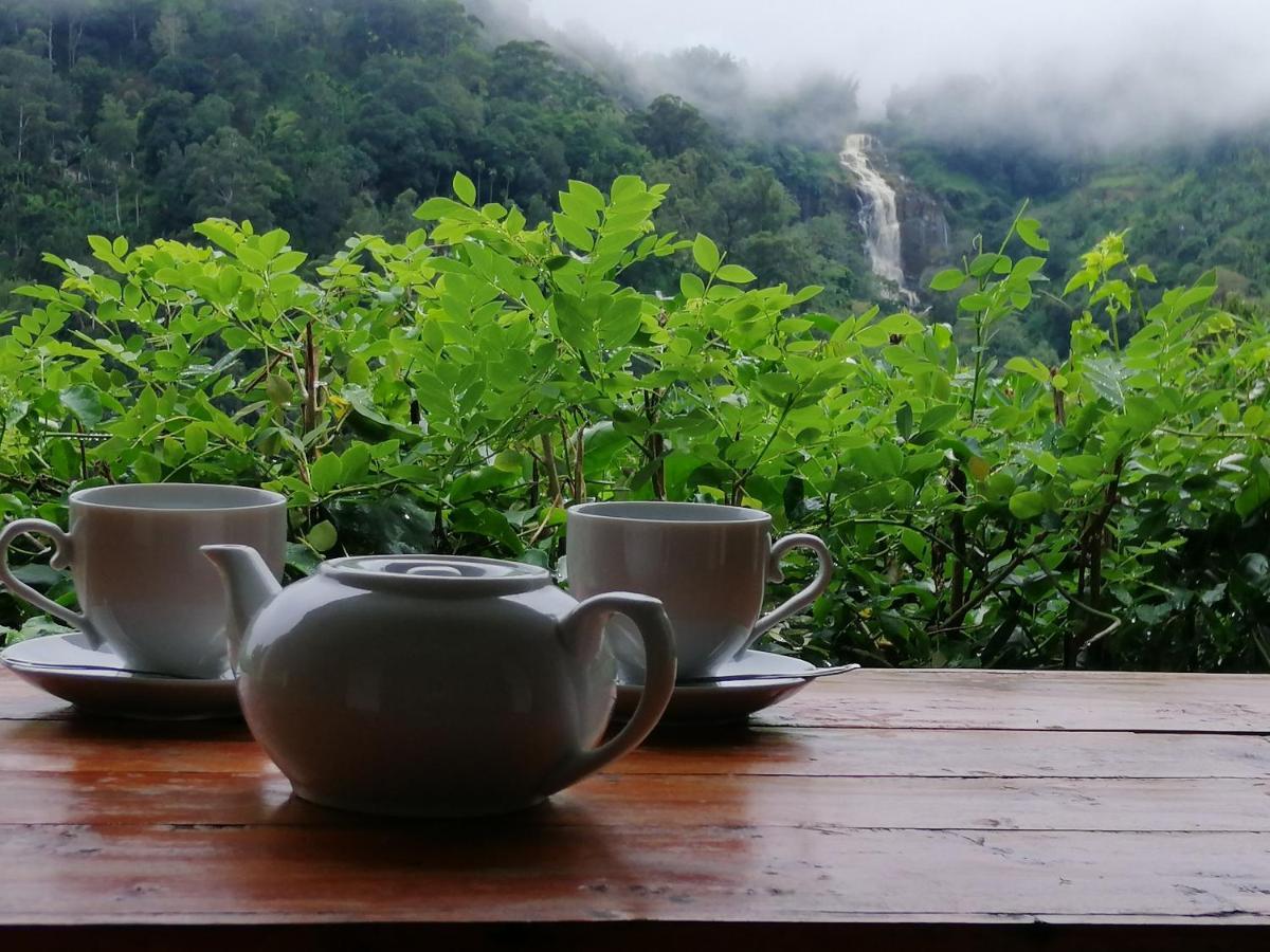 西普维欧山林小屋 埃拉 外观 照片