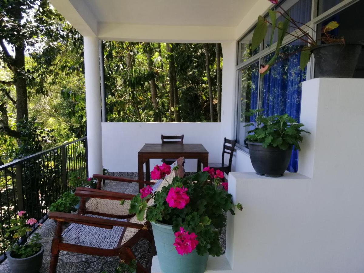 西普维欧山林小屋 埃拉 外观 照片