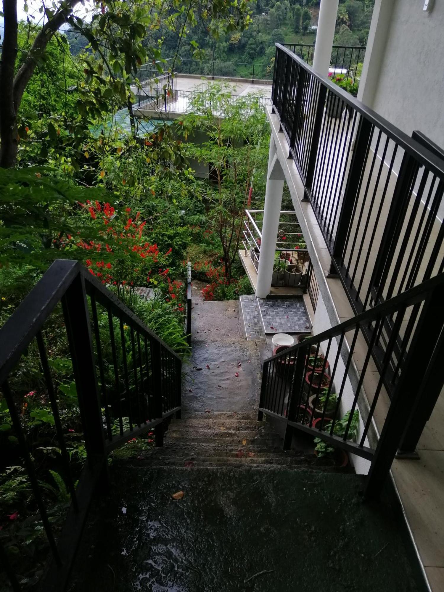 西普维欧山林小屋 埃拉 外观 照片