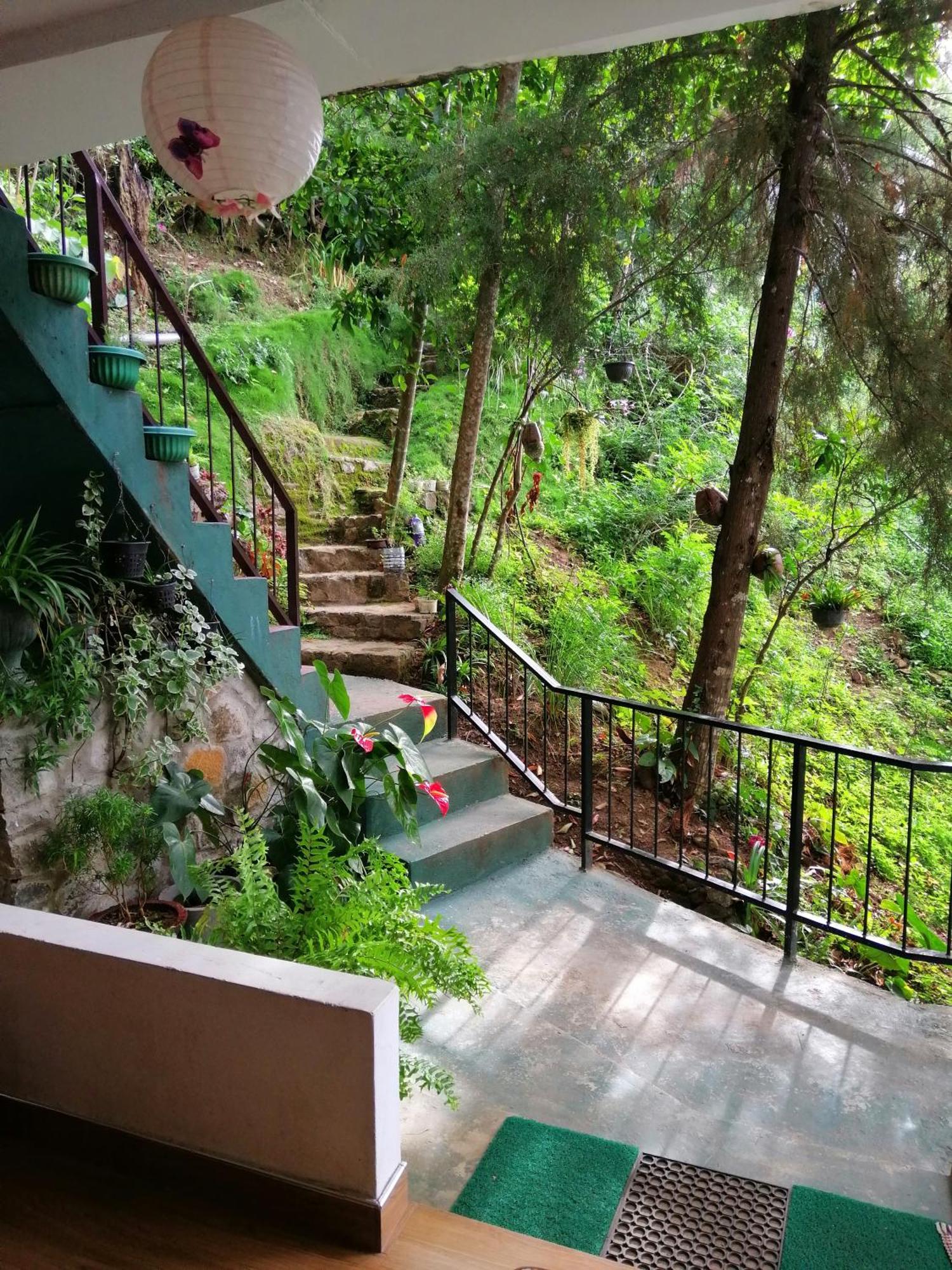 西普维欧山林小屋 埃拉 外观 照片