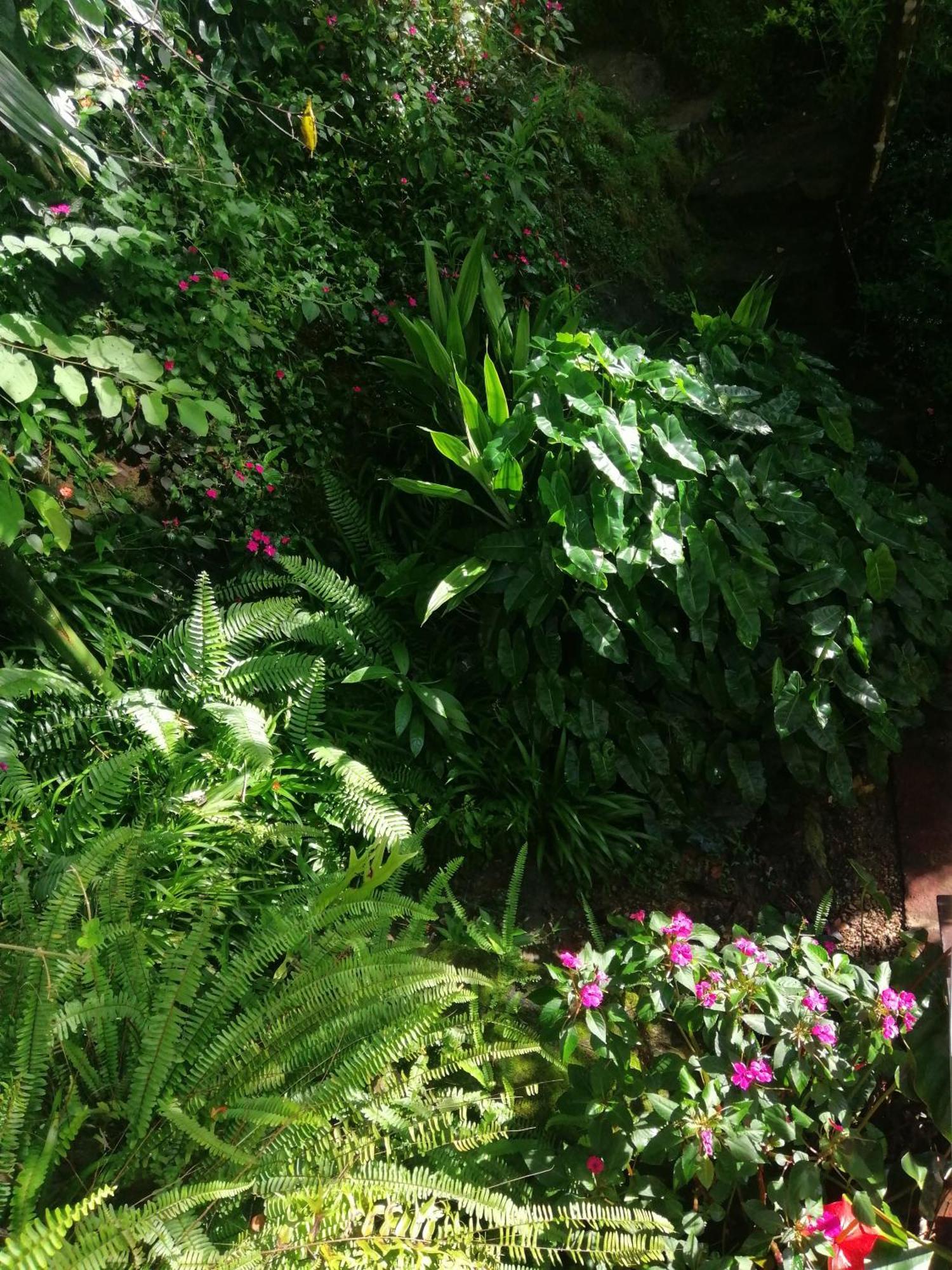 西普维欧山林小屋 埃拉 外观 照片