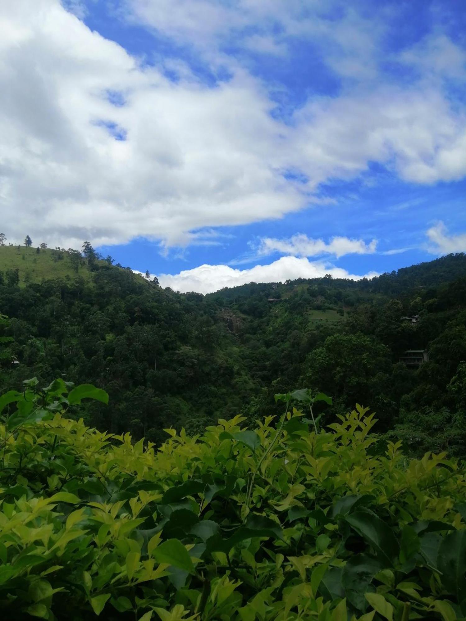 西普维欧山林小屋 埃拉 外观 照片
