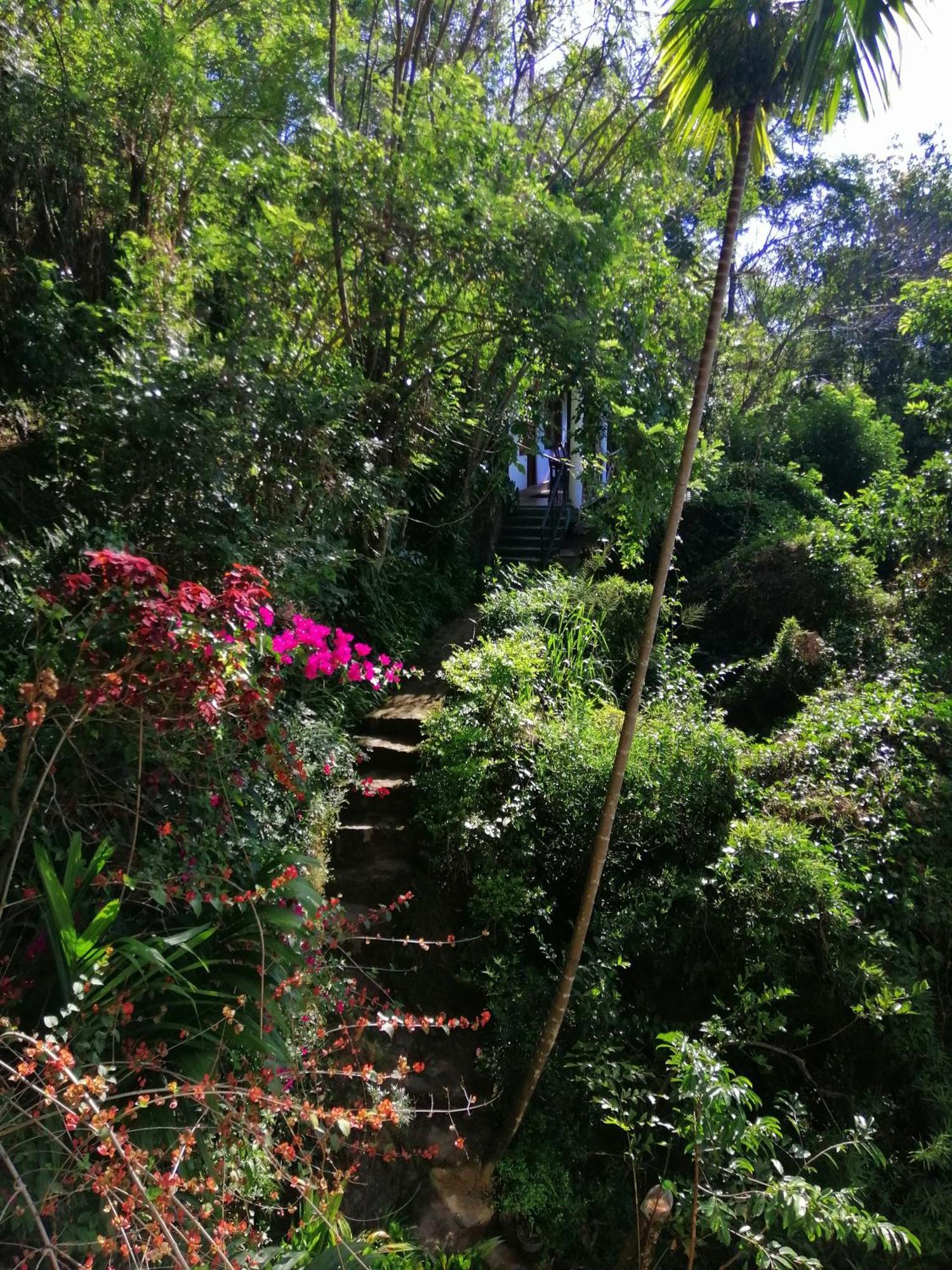 西普维欧山林小屋 埃拉 外观 照片