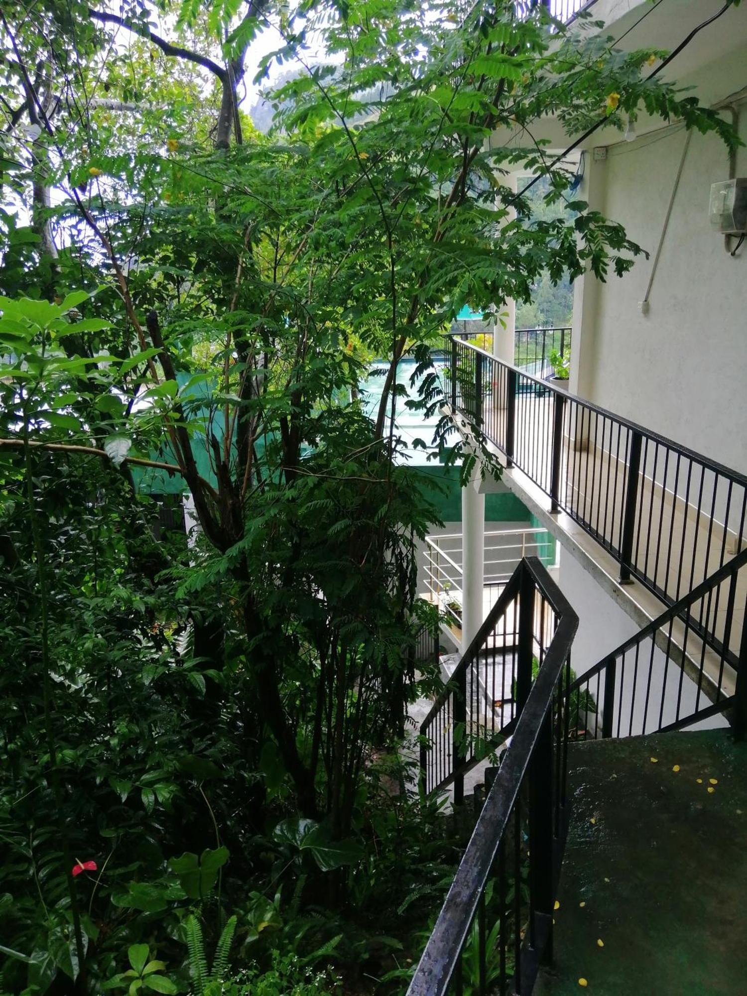 西普维欧山林小屋 埃拉 客房 照片